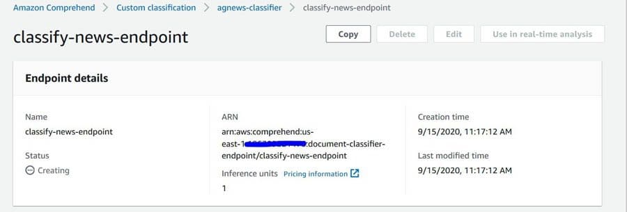 Custom Classification Model Endpoint Page