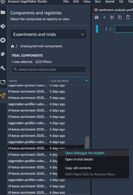 After you have set up and run this notebook in Studio, you can access Debugger Insights.