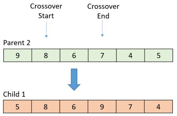 When the swap is complete, the large arrow moves to the next gene to cross over.