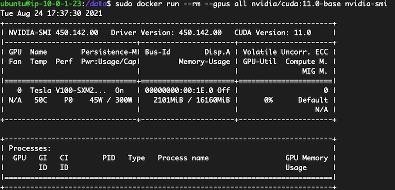 NVidia docker