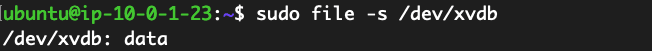 sudo file