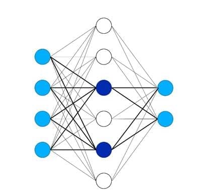 Dense Neural architecture with bold lines showing which neurons are selected