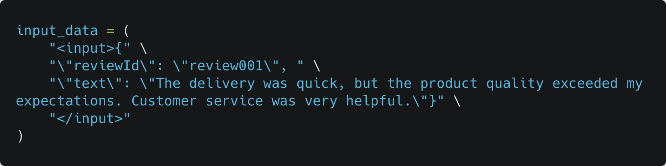 Customer review input data showing positive feedback about delivery, product quality, and service