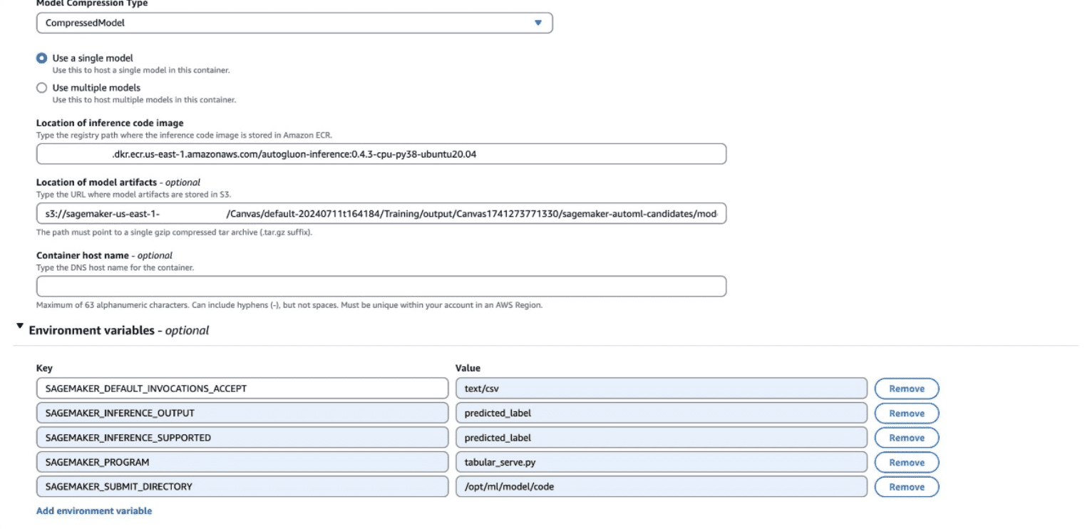 Model Environment Variables