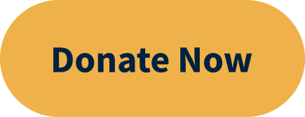 donate button