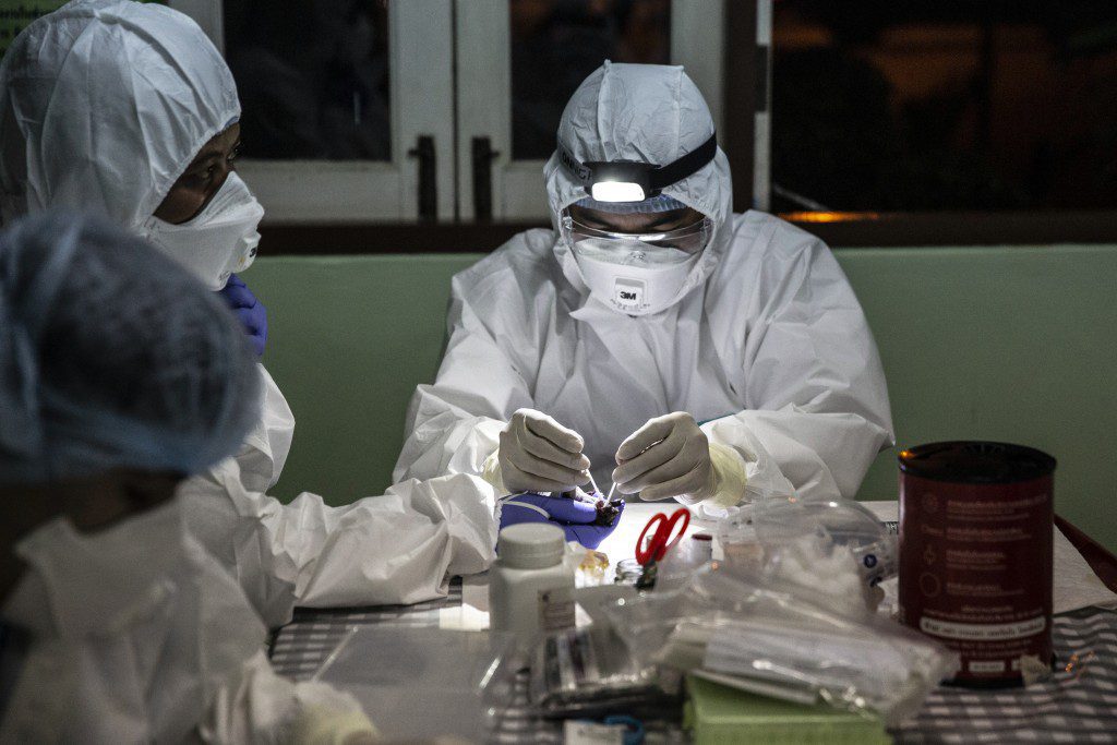 Researchers, from the Thai Red Cross Emerging Infectious Diseases Health Science Center, take a saliva swab from a bat caught at Khao Chong Pran Cave, inside a makeshift lab set up nearby during a catch and release program in Photharam, Ratchaburi Province, Thailand, on Dec. 11, 2020.