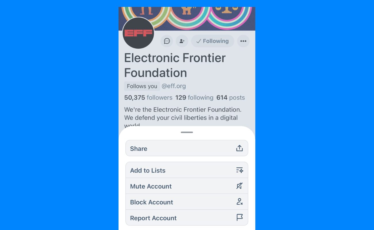 screenshot of bluesky app, with the electronic frontier foundation page loaded, and options to 