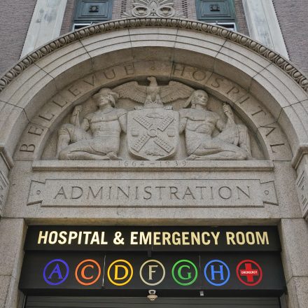 Palantir Will No Longer Profit Off of New Yorkers’ Health Data